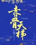 赤骨天梯