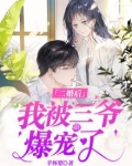 【二婚后】我被三爷爆宠了