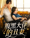 腹黑大佬的丑妻