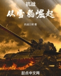 抗战:从雪豹崛起
