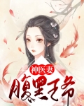 腹黑王爷神医妻