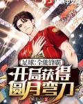 足球:全能锋霸,开局获得圆月弯刀!