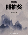 我升级能抽奖