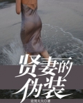 贤妻的伪装