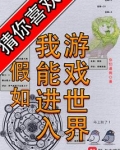 假如我能进入游戏世界