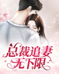 总裁追妻无下限
