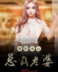 我的冰山总裁老婆