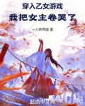 穿入乙女游戏:我把女主卷哭了