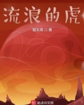 流浪的虎