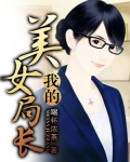 我的美女局长