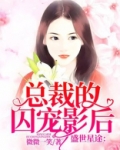 盛世星途:总裁的囚笼影后