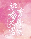 外室郎想上位