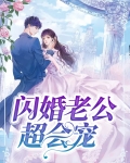 闪婚老公超会宠