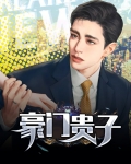 豪门贵子