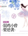 险情之弱鸡小曾要逆袭