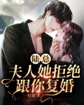 陆总，夫人她拒绝跟你复婚