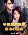 今夜星辰似你:帝少心尖宠