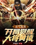 灵气复苏:开局觉醒大将黄猿