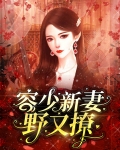 容少新妻野又撩