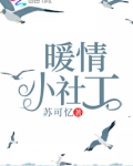 暖情小社工