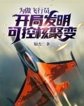 为做飞行员，开局发明可控核聚变