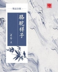 骆驼祥子（精品公版）