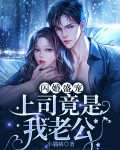 闪婚盛宠：上司竟是我老公