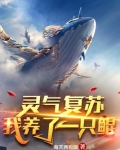 灵气复苏:我养了一只鲲