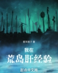 我在荒岛肝经验