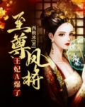 至尊凤将:王妃A爆了