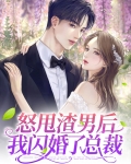怒甩渣男后我闪婚了总裁