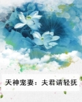 天神宠妻:夫君请轻抚