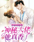 意外怀孕后,神秘大佬他真香了