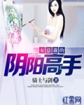 女总裁的阴阳高手