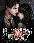 携二宝逃跑后顾总慌了