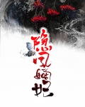 隐凤嫡妃