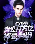 即日起,我公开万亿神豪身份