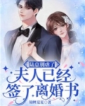 陆总别虐了，夫人已经签了离婚书