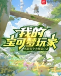 我的宝可梦玩家