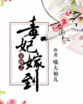 穿越之毒妃嫁到