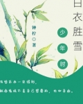 白衣胜雪少年时