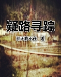 疑路寻踪