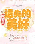 网游之遗失的美好