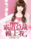 宠妻成瘾:霸道总裁赖上我