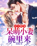 厉少绝宠:呆萌小妻碗里来