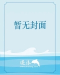 宠物小精灵之不息的追求