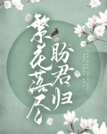 繁花落尽盼君归