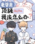 老婆是顶级Alpha,我该怎么办