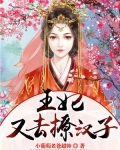 王妃又去撩汉子