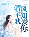 清风不知我爱你